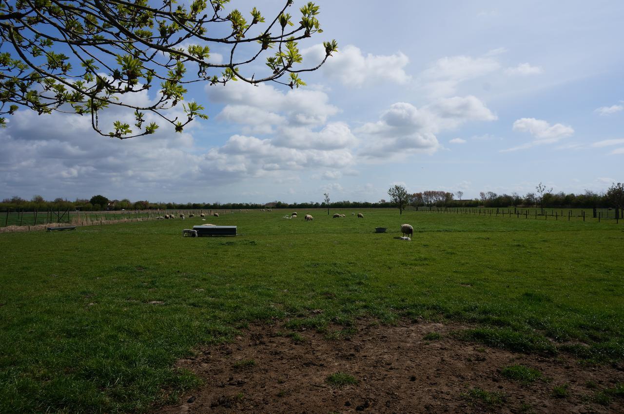 De Wijde Verten Oostkapelle Buitenkant foto