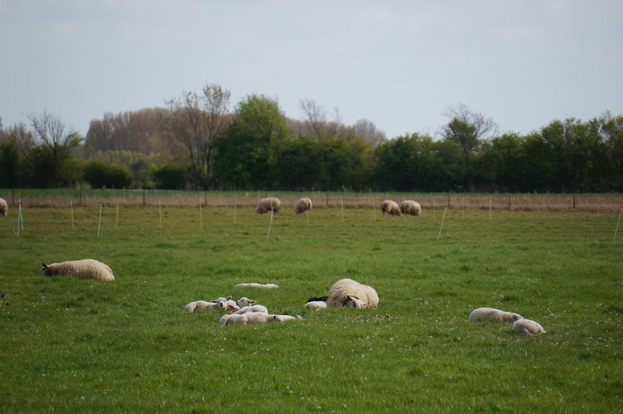 De Wijde Verten Oostkapelle Buitenkant foto